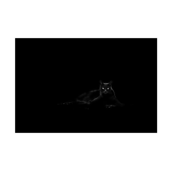 Dusan Ljubicic 'Cat' Canvas Art, 30x47, Trademark Fine Art, Mfr#: 1X13613-C3047GG